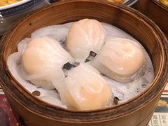 虾饺-捷信牛奶甜品世家(五道口店)