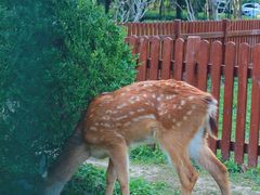 -上海交通大学(闵行校区)