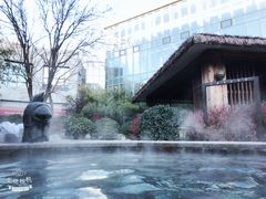 -中家鑫园温泉酒店鑫悦汤泉