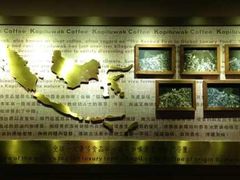 -猫屎咖啡(日月光中心广场店)