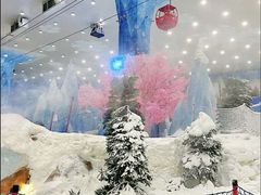 -湘江欢乐城欢乐雪域