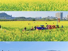 -光明小镇欢乐田园