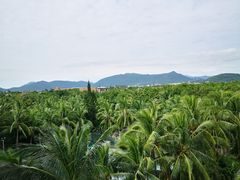 -三亚亚龙湾天域度假酒店