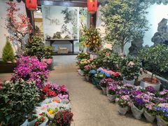 -双季花艺园艺市场(浦东店)