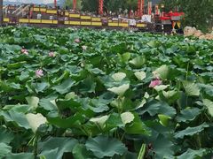 -云龙湖旅游景区