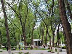 -西宁市人民公园(城西区)