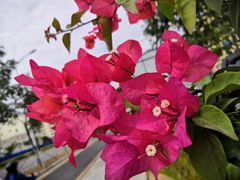 -一嗨租车(凤凰机场店)