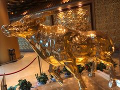 -菲拉拉漫温泉(东环路店)