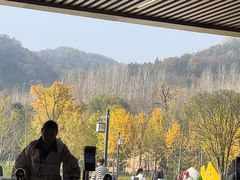 -千年银杏谷文化旅游区