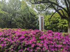 -临平公园(临平街道)