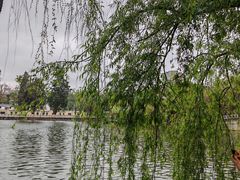 -翠湖公园