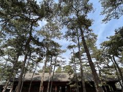 -承德避暑山庄景区