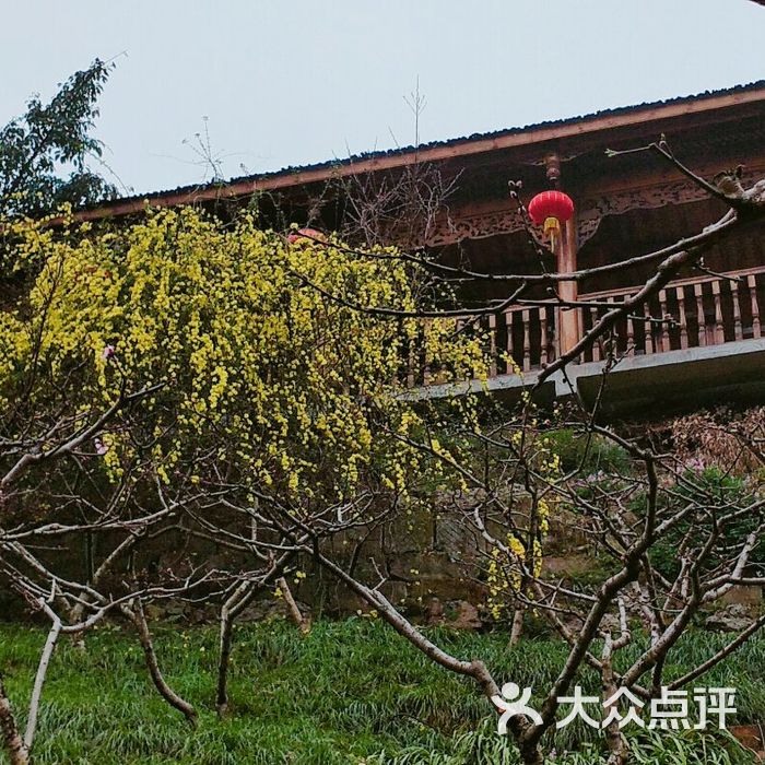 北京龙泉山庄(北京龙泉山庄别墅多大面积)