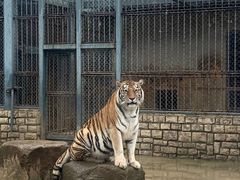 -上方山森林动物世界