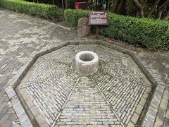 -上海佘山国家森林公园天马山园