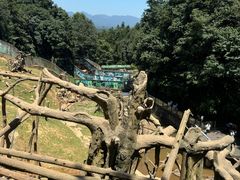 -中国大熊猫保护研究中心雅安碧峰峡基地