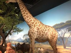 -陕西自然博物馆