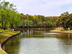 -上海鲜花港
