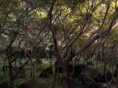 -南京市江宁方山