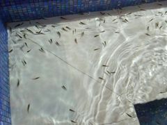 -水晶之星洗浴温泉汗蒸