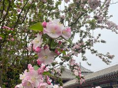 -大钟寺古钟博物馆