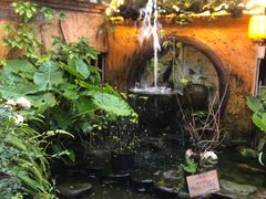 -园林美食城·本土农家菜(杨和镇店)