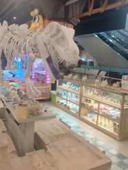 -卡通尼·Safari非洲探索乐园·生日会(金桥国际商业广场店)