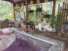 -天目湖御水温泉·度假酒店