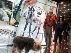 -Gucci(北京SKP店)