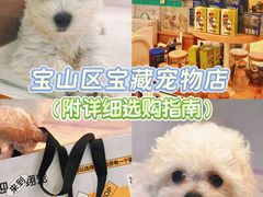 -翊宠yipet猫狗购宠庄园犬舍•猫舍