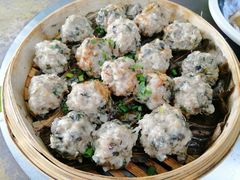 崩大碗肉丸-园林美食城·本土农家菜(杨和镇店)