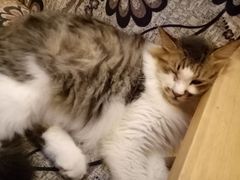-万小咖.猫咖(中山路天虹店)