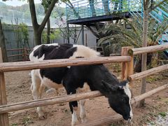 -海兰云天度假区温泉