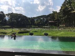 -清迈四季度假酒店Khao餐厅