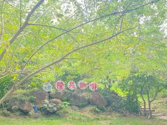 -兴隆隆苑咖啡庄园