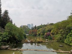 -云溪植物园
