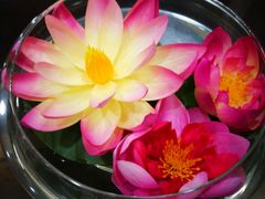 -聚宝渔港.五钻酒家(上地店)