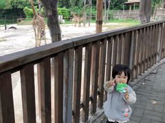 -深圳野生动物园