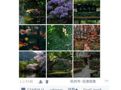 -中国茶叶博物馆(双峰馆区)