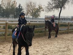 -汉长安城未央宫国家考古遗址公园