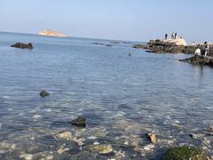 -养马岛旅游度假区