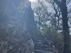 -金石滩蓝莓谷庄园