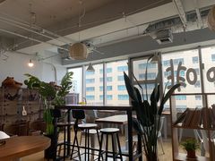 -Cappucimeow猫咪咖啡馆(韦伯时代店)