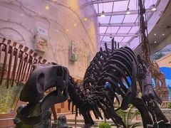 -陕西自然博物馆