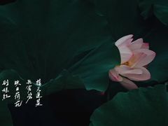 -蠡湖大桥公园