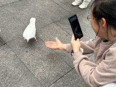 -万达广场(广州番禺店)