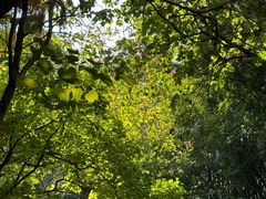 -水濂山森林公园