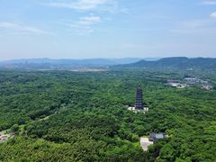 -宜兴龙背山森林公园