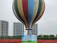 -美的鹭湖森林度假区