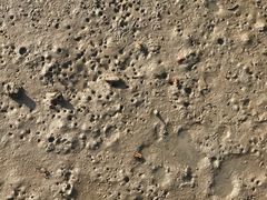 -北海金海湾红树林生态旅游区